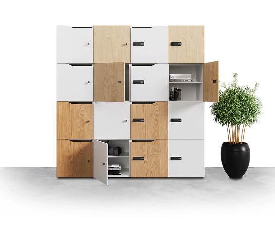 Hushlock modular storage