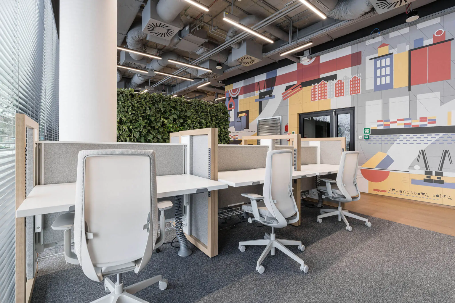 Row of desks with office chairs beside a green wall