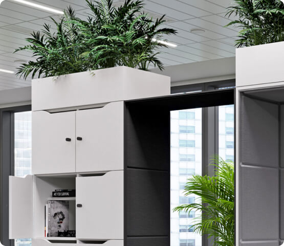 White Hushlock cabinets with planters and plants on top