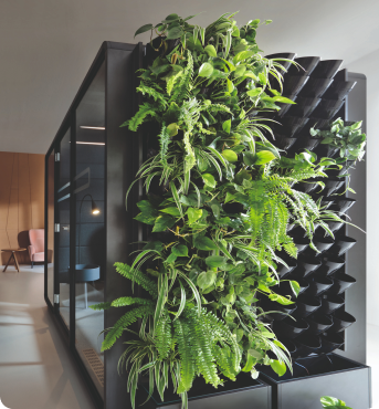 greenwalls-top-mobile