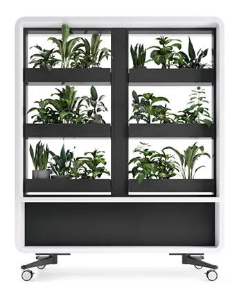 <p><strong>CACHE-POTS</strong></p>