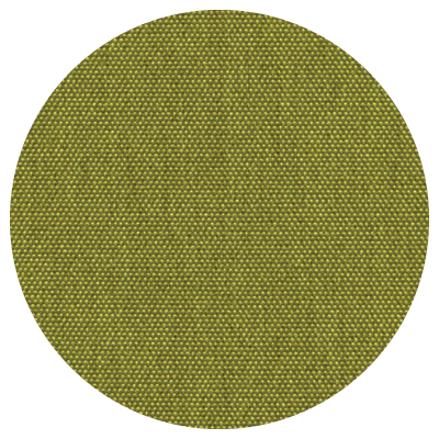Kiwi <br>TKI