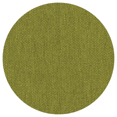 Kiwi <br>TKI