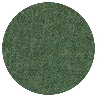 Seagrass <br>TSG