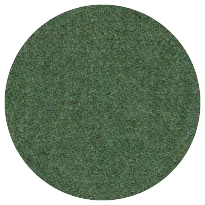 Seagrass <br>TSG