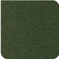 TLI Lichen