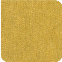 TMS Mustard
