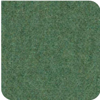 TSG Seagrass
