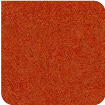 TSN Sienna